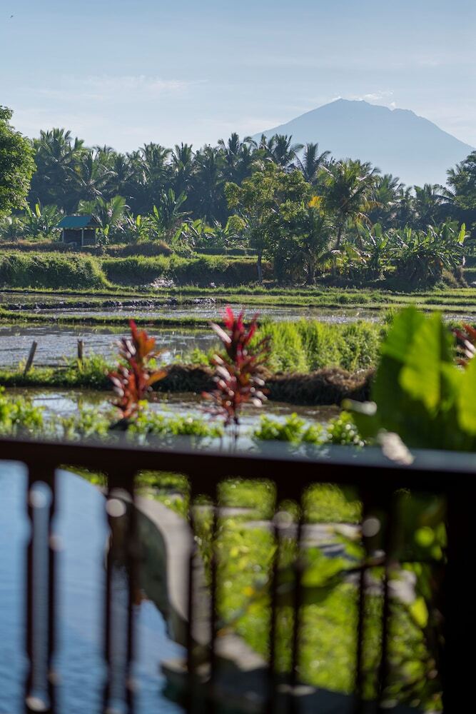 Bed & Breakfast Beehouse Dijiwa Ubud
