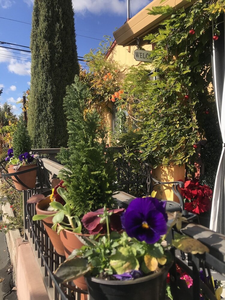 Hotel Chardonnay Lodge