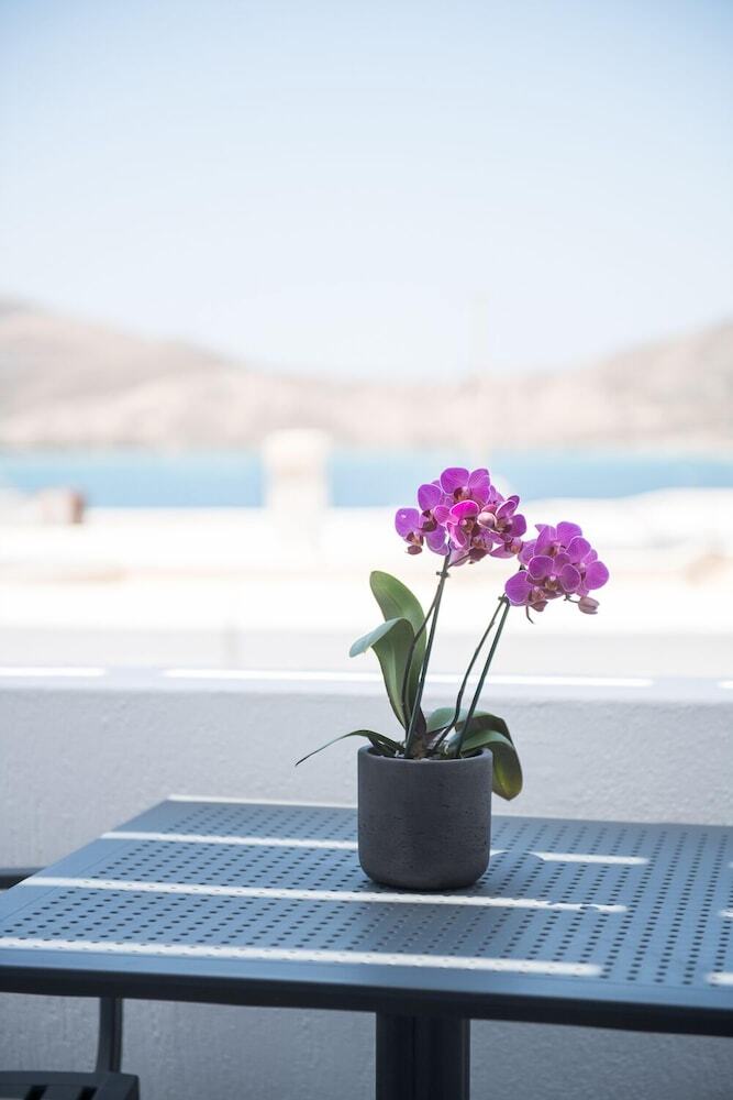 Pension Piperaki Project Paros