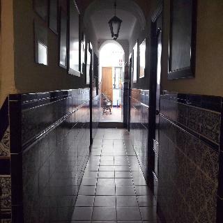 Hotel Nova Centro