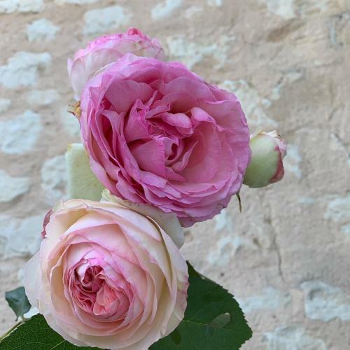 Hostal Ecole De Mathuna De Marigny Brizay