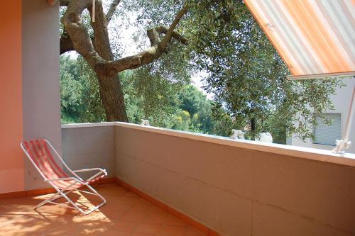 Apartamento Residence Belvedere