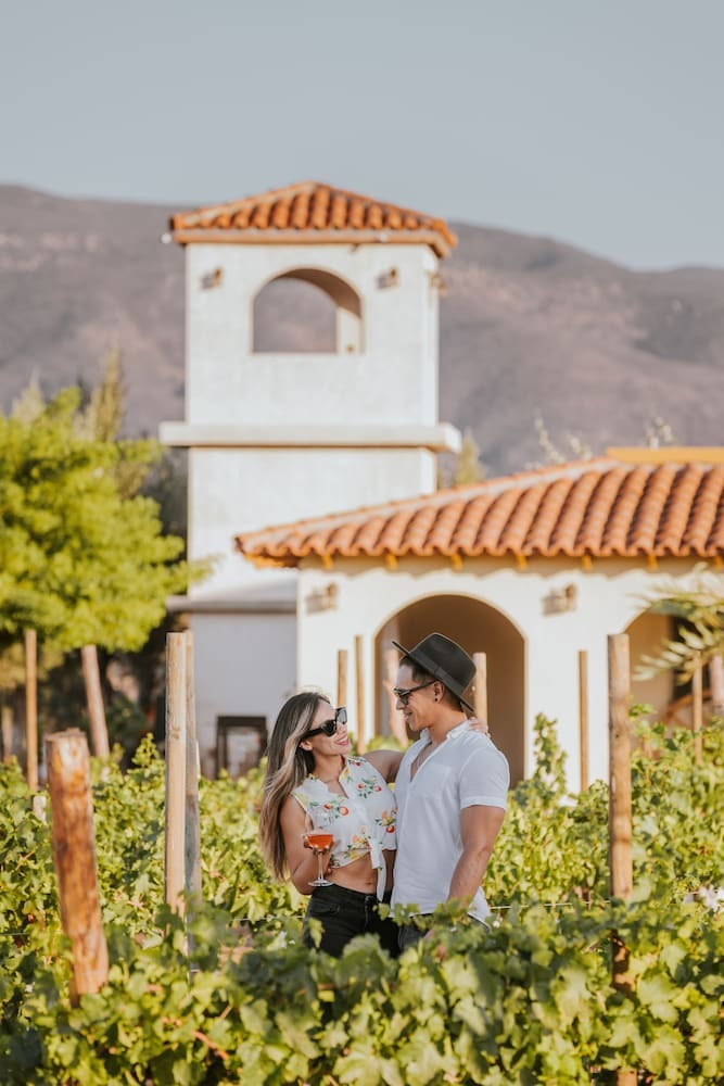 Hotel Hacienda Los Olivos
