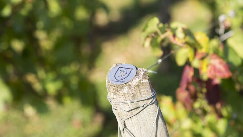 Domaine Gille