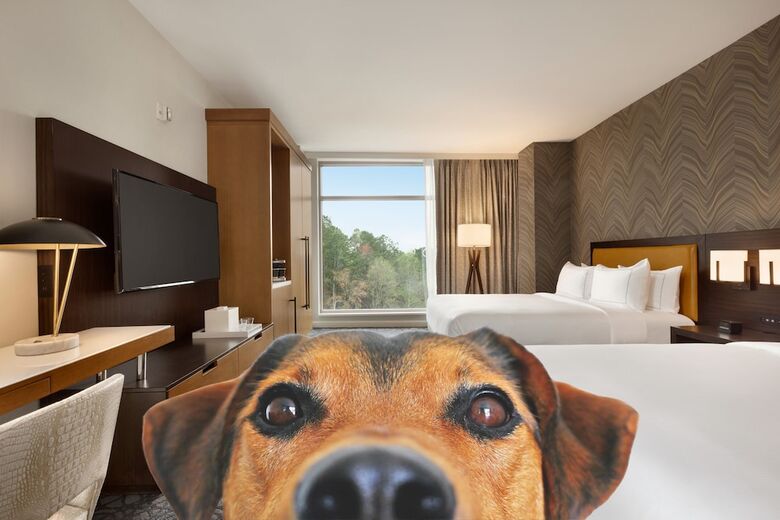 Hotel Hilton Alpharetta Atlanta