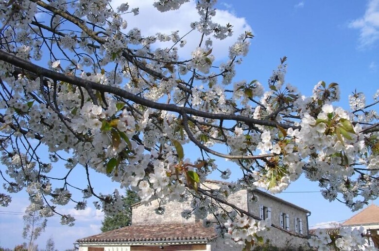 Luxe B&B Maison � Votre Sant�