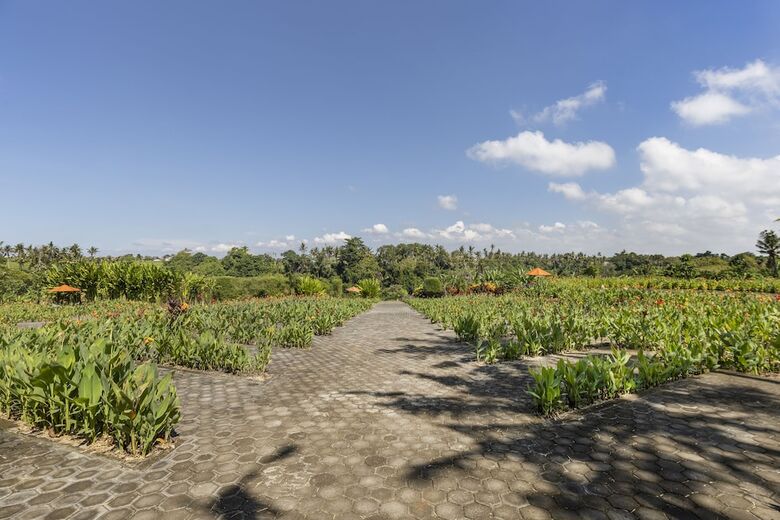 Hotel Swan Paradise A Pramana Experience