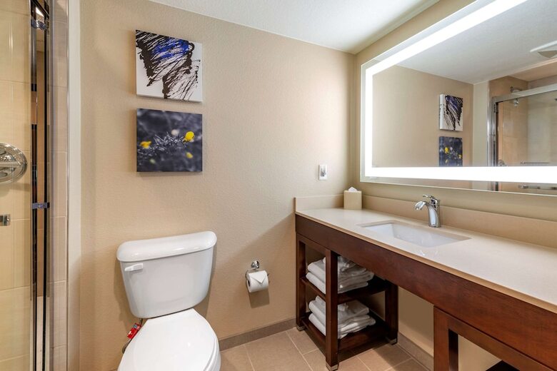 Hotel Comfort Suites Broomfield-boulder/interlocken