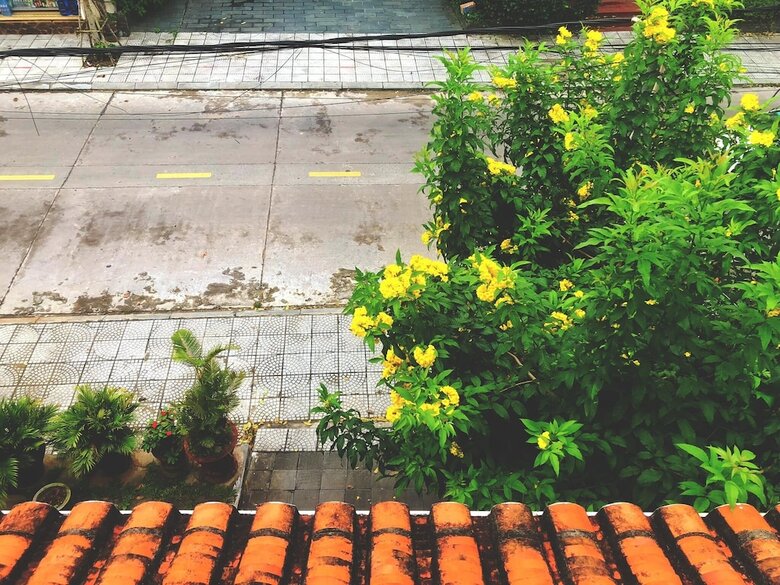 Hotel Hoian Central Garden Homestay