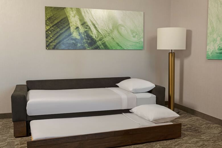 Hotel Springhill Suites By Marriott West Sacramento