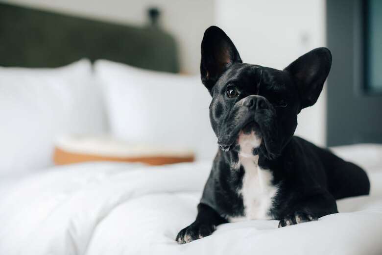 Hotel Moxy Osaka Umeda