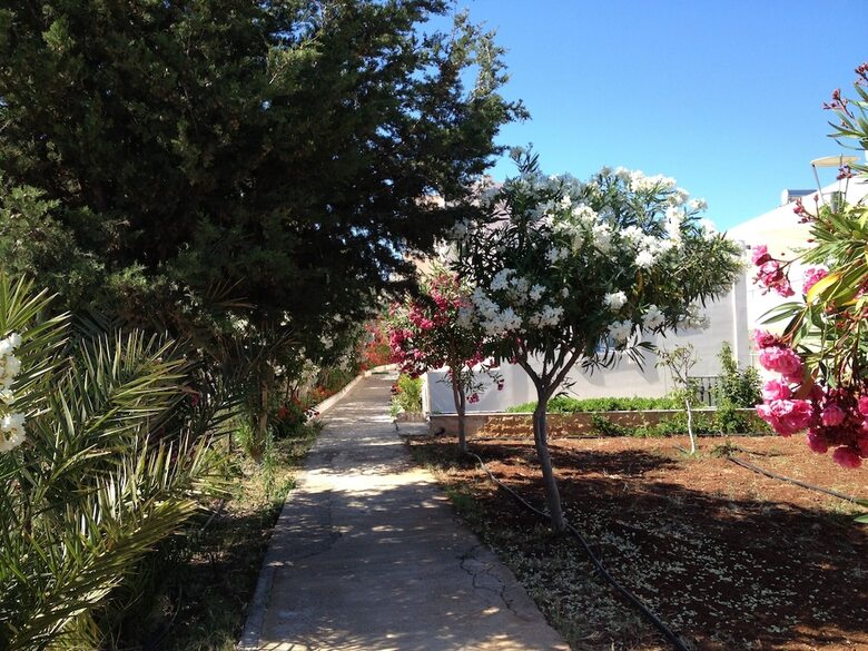 Amaryllis Front Beach Hotel