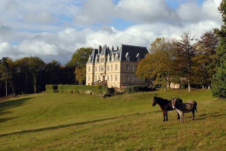 Chateau Des Faugs