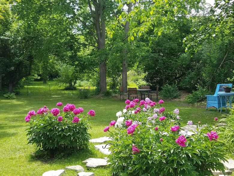Lilly Pad Boerners Guest House