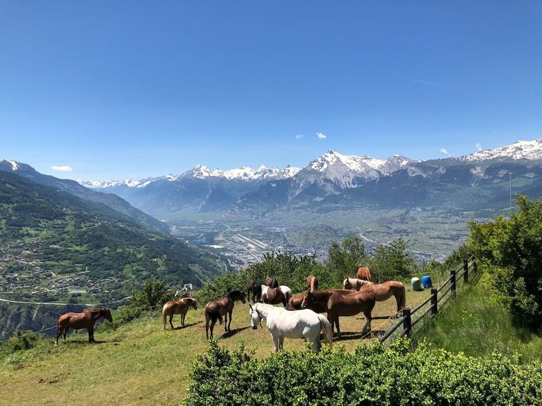 Hotel Mont-noble