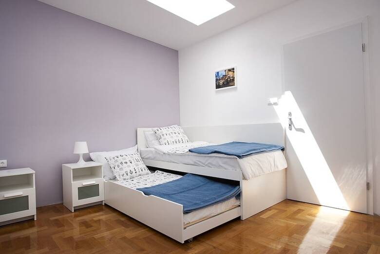 Paw Rooms