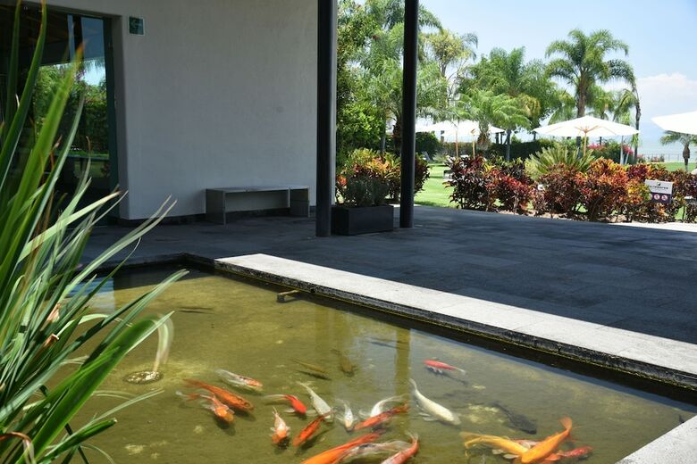 Hotel La Reserva Chapala Resort
