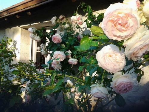 Bed & Breakfast La Closerie Du Bucher