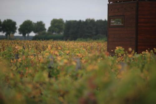 Les Sens De La Terre