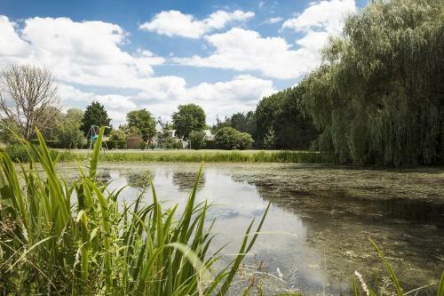 Bed & Breakfast Ferme Des Saules