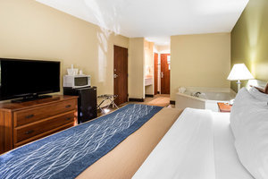 Hotel Comfort Inn Darien