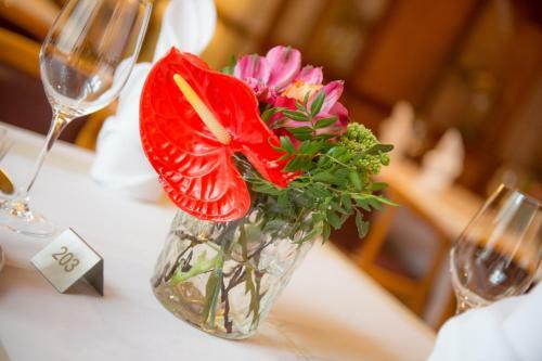 Hotel Raffel
