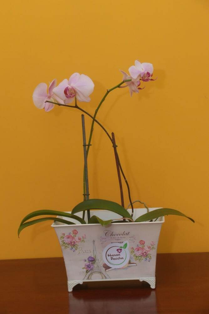 Hotel Flor Del Valle
