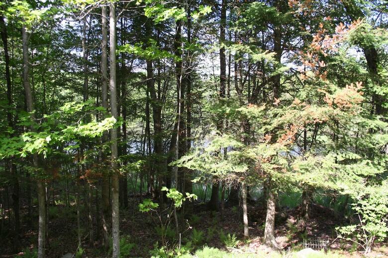 Bed & Breakfast La Chaumiere De L' Anse