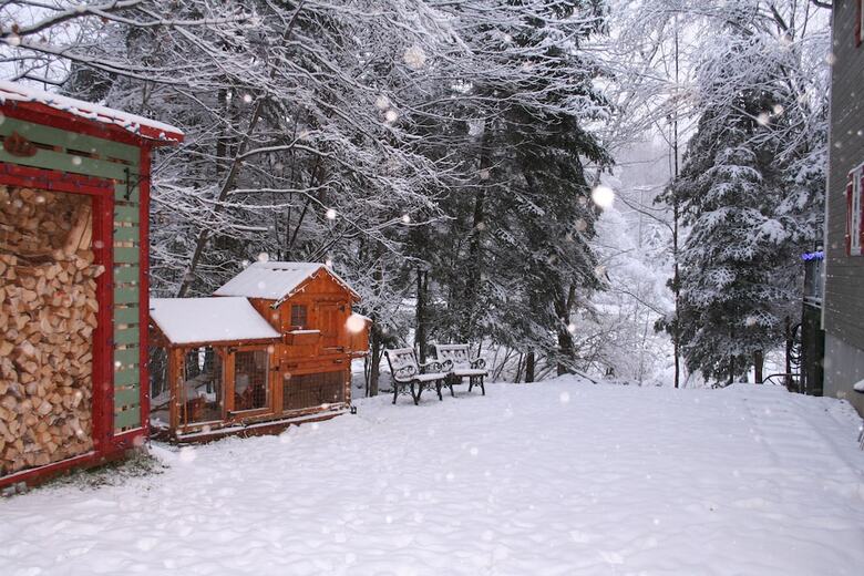 Bed & Breakfast La Chaumiere De L' Anse
