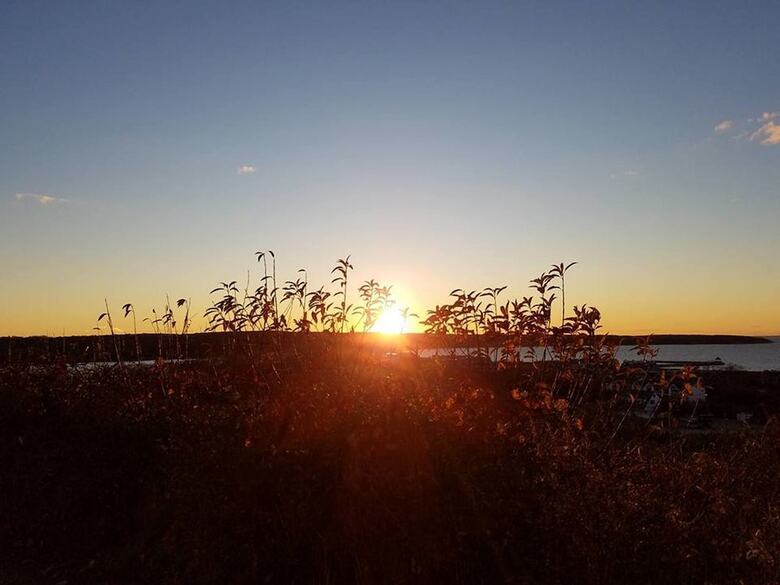Aparthotel Montauk Manor