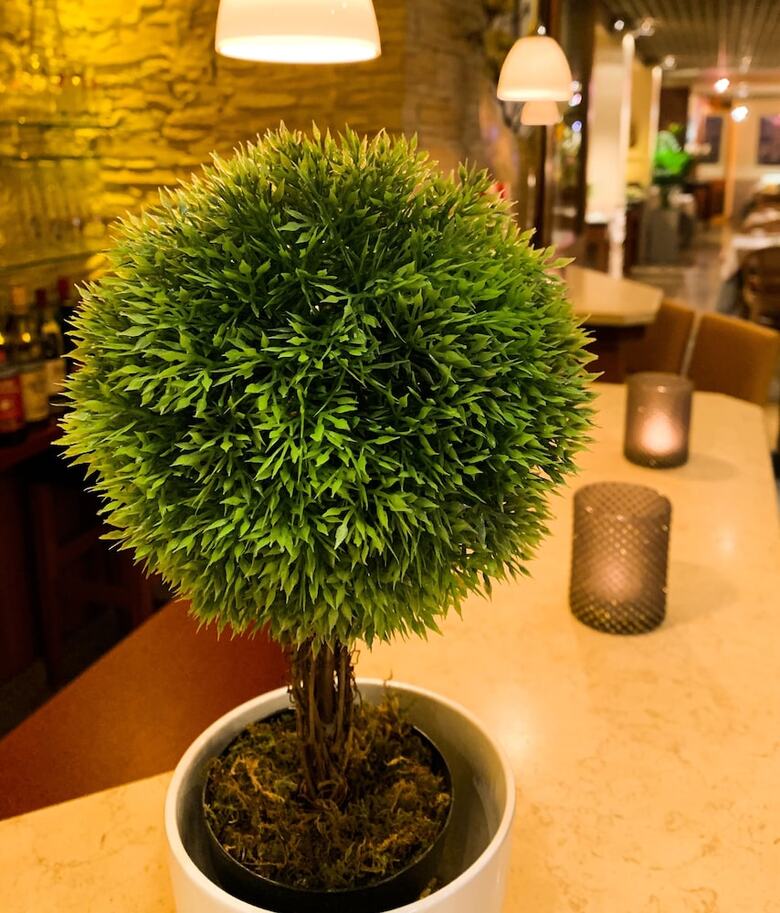 City Hotel Ost Am K�