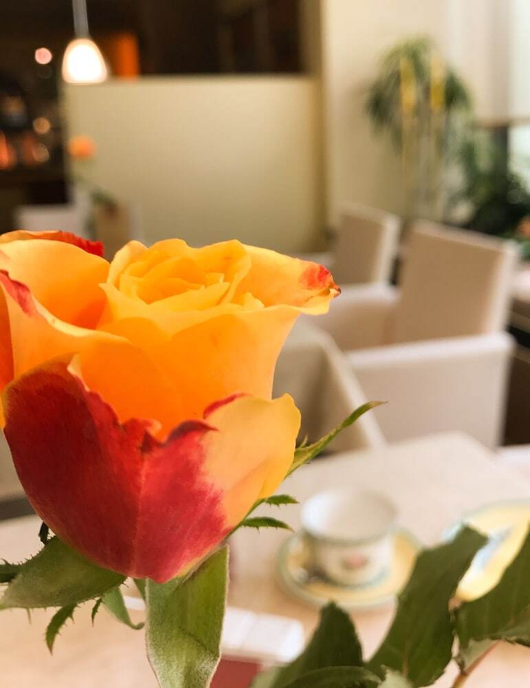 City Hotel Ost Am K�