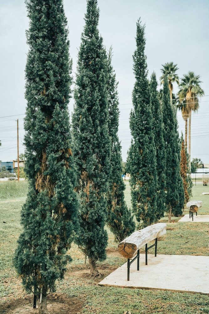 Motel Rooms At The Pecan
