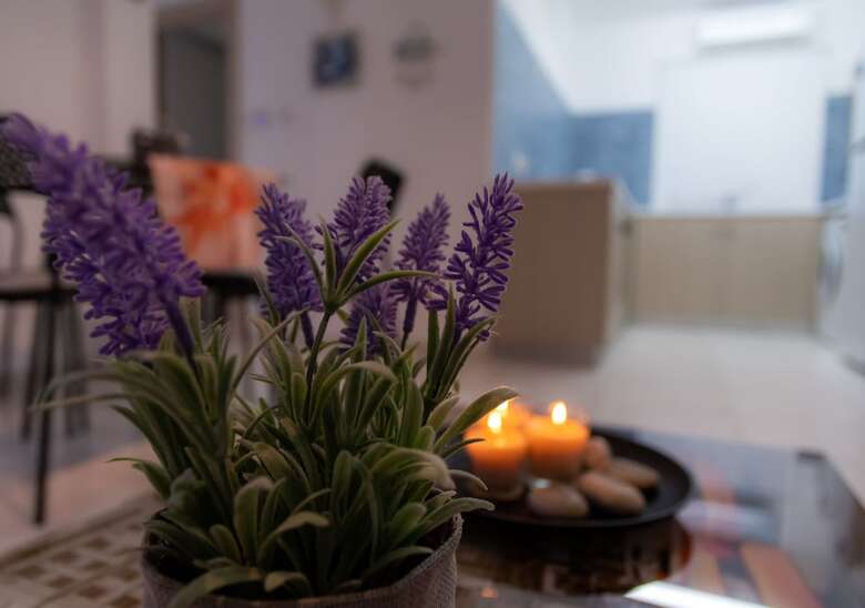 Aparthotel Long Beach Gardens 1