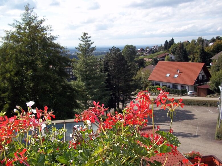 Schwarzwaldhotel Hotel Brandbach