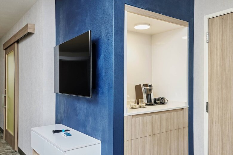 Hotel Springhill Suites By Marriott Chicago Chinatown