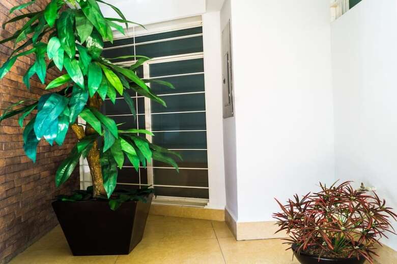 Apartamentos Capital O Lowe Suites