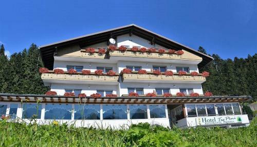 Hotel 3 Pini