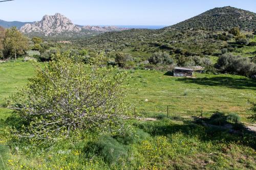 Hotel Relais De Saleccia