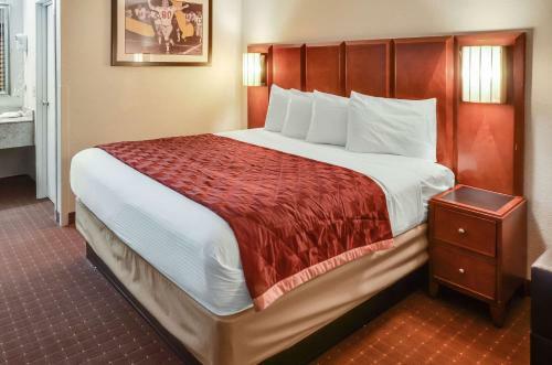 Motel Rodeway Inn North Charleston