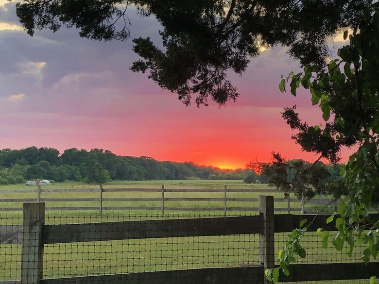 The Farmhouse Bed And Breakfast