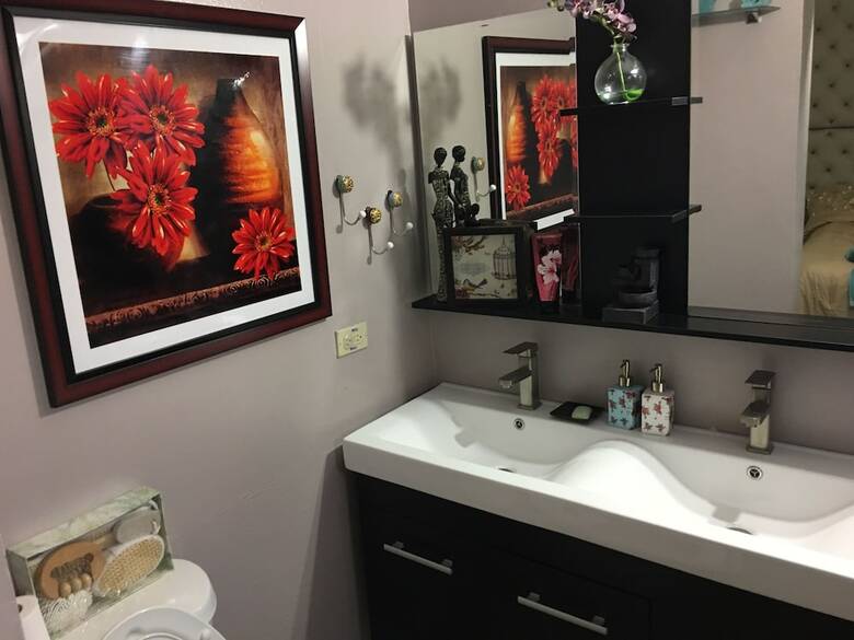 Apartamentos Abacus Jamaica The Zana Suite