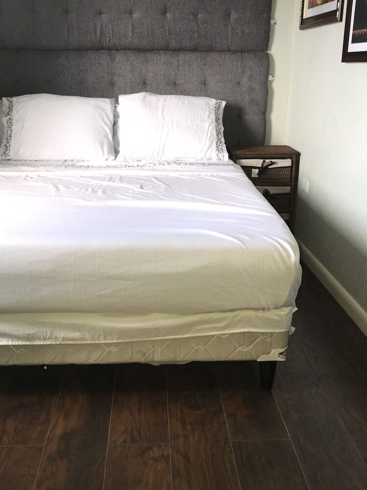 Apartamentos Abacus Jamaica The Zana Suite