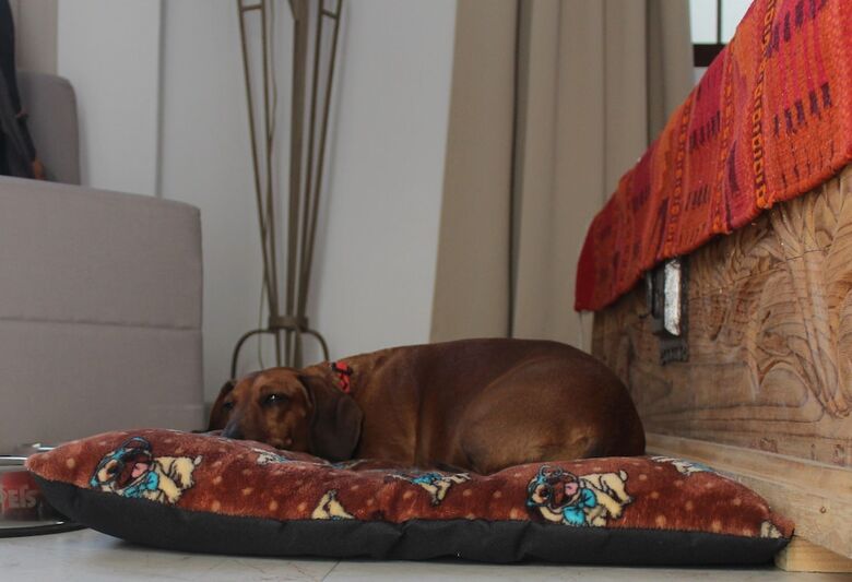 Hotel Boutique La Cochinilla