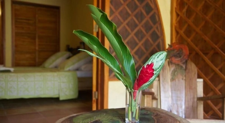 Casa Merlin Lodge