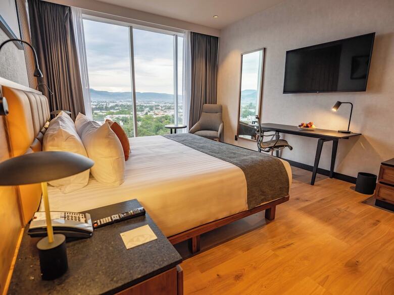 Hotel Galeria Plaza Leon