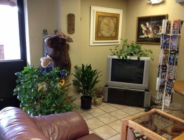 Motel Anchorage Suites Lodge