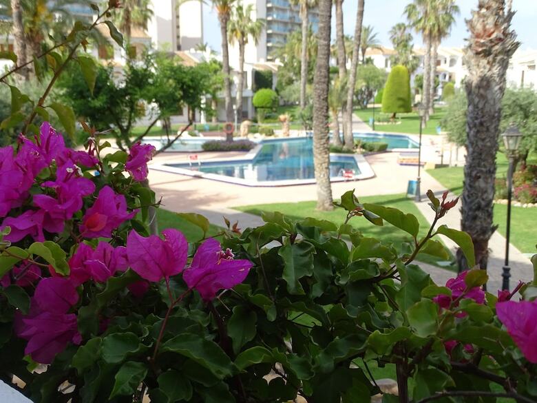 Aparthotel Apartamentos Mar Menor