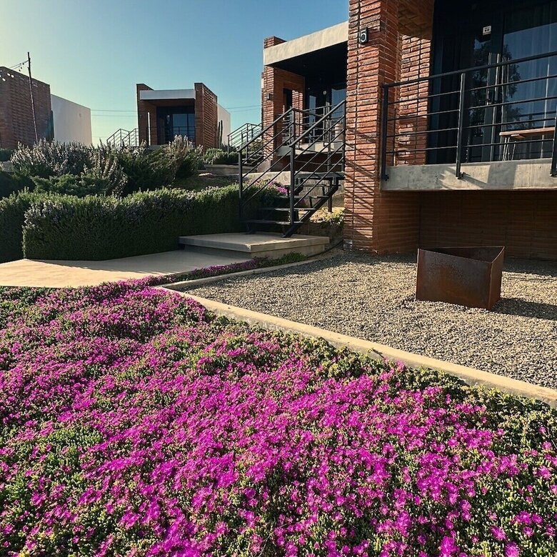 Hotel Otero Valle De Guadalupe