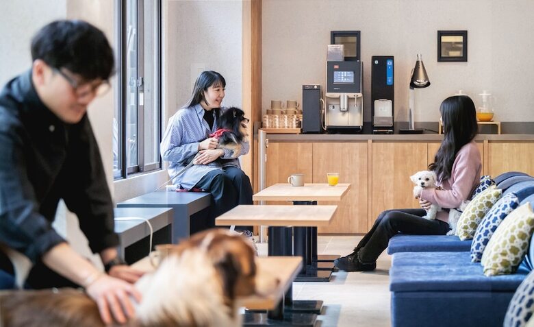 Hotel Anddoggy Kyoto Nijo